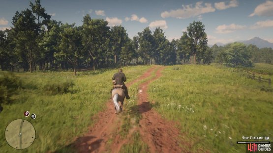 don’t stray from the tracks on the ground.