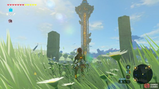 This tower is guarded by multiple Guardians