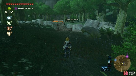 Once he has crossed the bridge, follow him to trigger a cutscene