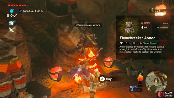 Buy the chest and leg pieces to save on Rupees.