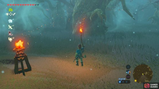 The embers in this picture are blowing straight ahead of us, indicating that we must continue forward