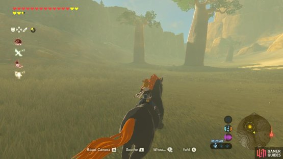 Once the horse is tamed, begin riding it back to the archery camp