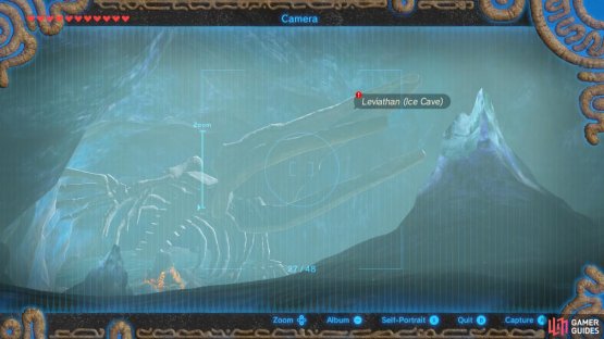 Then snap a pic of the leviathan’s skull