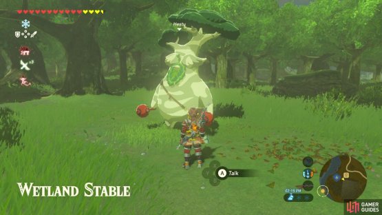 Hestu will be here, also trying to go to Korok Forest