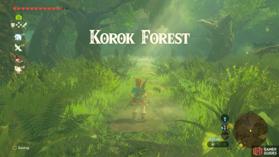 Korok Forest is a safe and wholesome place so you can relax here and enjoy the greenery