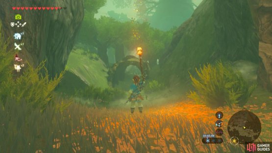 This hollow log marks the end of the Lost Woods