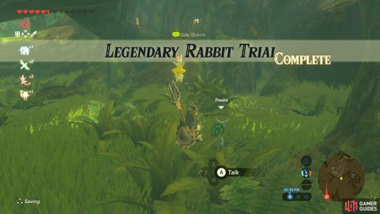 And now you have a Blupee in your Hyrule Compedium!