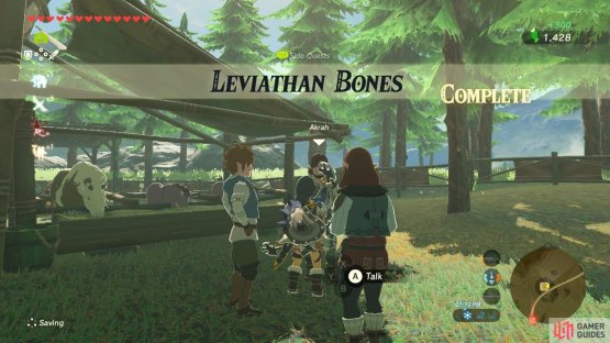 And now you have some lovely pictures on your Sheikah Slate!