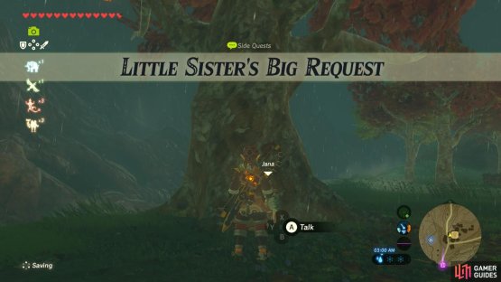 This is another fetch quest for someone
