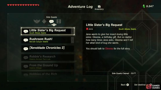 This sidequest will involve bug catching (or bug shopping)