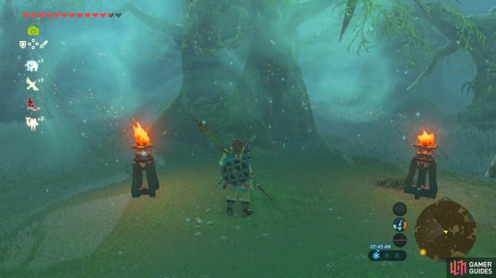 This tree and the two torches marks the halfway point in the Lost Woods