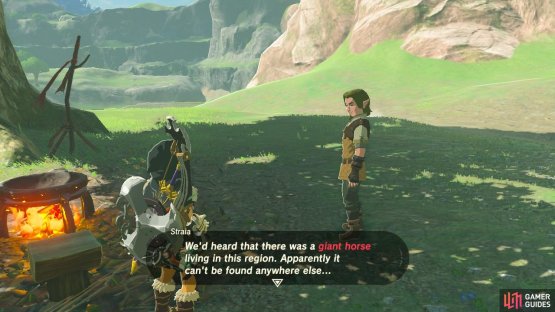 This camp is actually where you can also do a fun little minigame