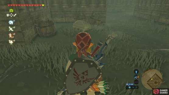 This treasure chest is fake and will attack you