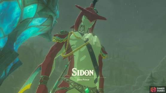 He will help get you to the Zora’s Domain and, ultimately, the Divine Beast.