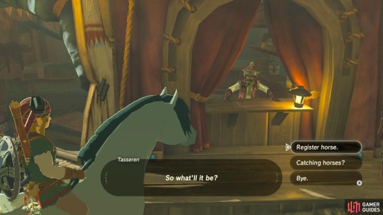 As you can see, we didn’t have enough stamina for the last horse so we settled for this one.