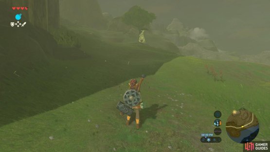 Who is that odd NPC up ahead?