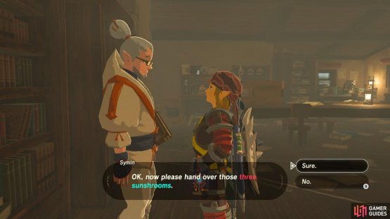 Hand over the Sunshrooms once you’ve hunted down enough