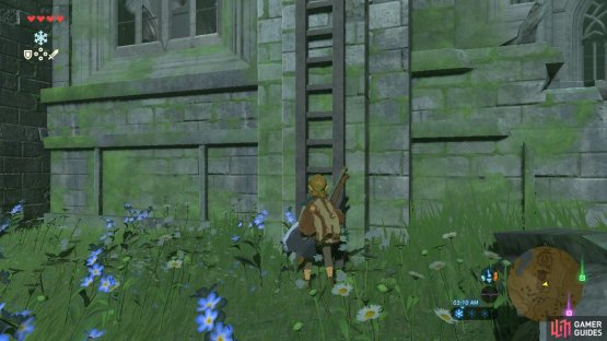 The walls are probably too tall for your stamina so use this ladder instead.