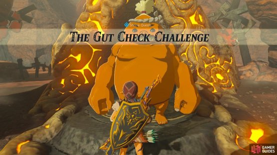 This Shrine Quest involves playing what amounts to the tutorial version of a minigame