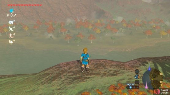 Paraglide to this area at the lake shore you see with all the trees and dead Guardians
