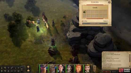Search around west of the chasm to find a Taldan Warrior’s Dog Tag,