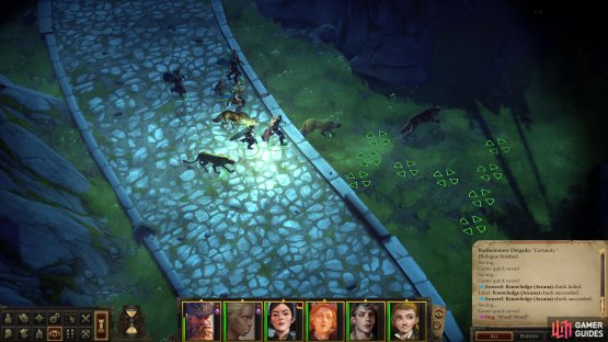 Follow the wolf and it’ll lead you to Ekundayo,