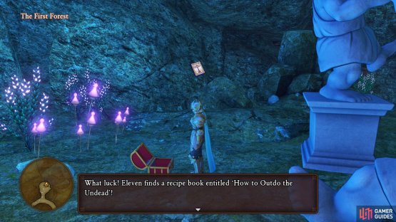 while you’ll find a Recipe Book in the chest inside the cave.