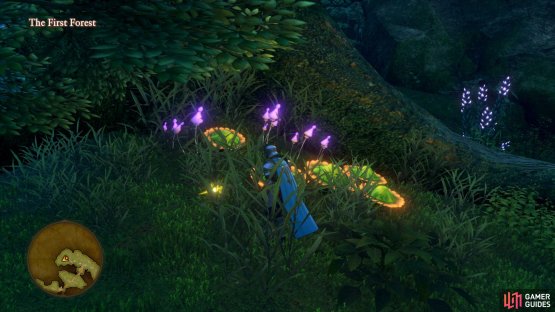 Search beneath the large tree to the north of the First Forest to find the Red Kale for Quest 26