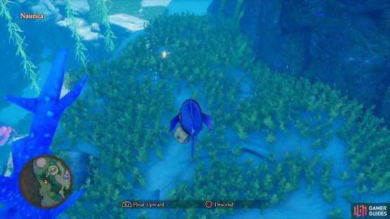 while you’ll find the Sage’s Stone for Quest 44 in Nautica.