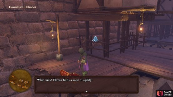 Climb the ladder to reach the upper layer and find a chest with a Seed of Agility