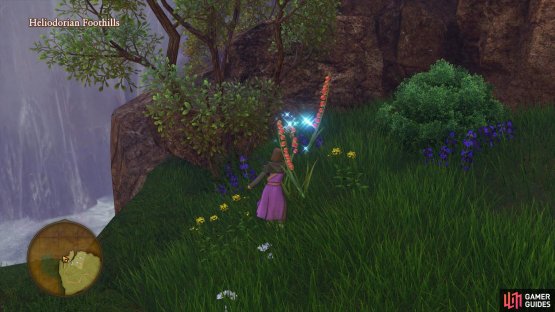 climb up the rope to reach a Flower gathering point.
