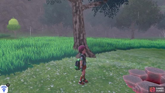 Head east of the first Berry Tree to find this Den