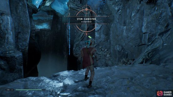 and collect the Stim Canister from the golden Chest in the Ice Caves.
