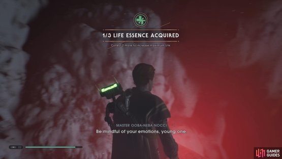 and then go further underground to find a Life Essence.