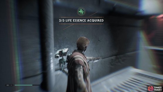 and then continue up to find a Life Essence.