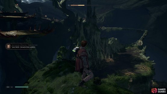 and the Sacred Shadowlands Force Echo from up above.