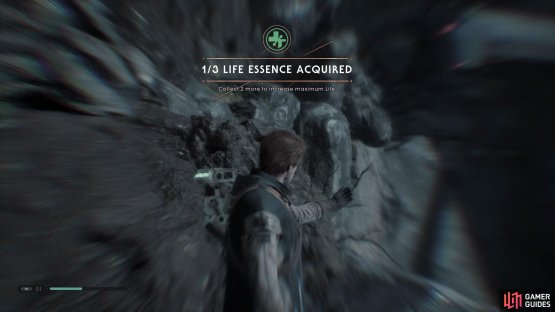 to find a Life Essence. 