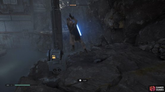 Cut down the rope to open a shortcut and then head right 