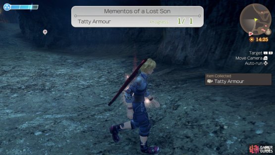 Be sure to grab the Tatty Armour while you’re here