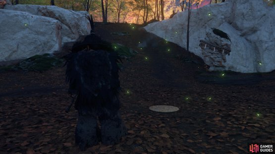 look along the cliff’s edge and drop down.