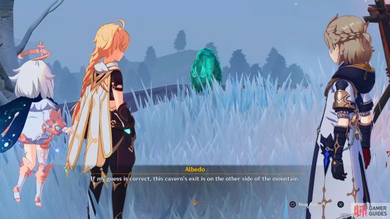 Attack the Anemo Amber with any weapon