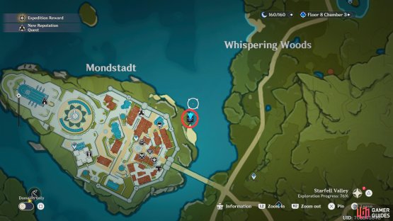 Nantuck can be found on the coast, east of Mondstadt.