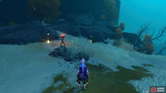 The first two Ore piles will be on your left, behind the torch.