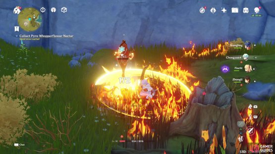 then defeat the Pyro Whopperflowers 