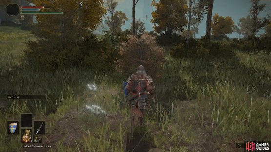 roll into the tree to reveal Boc and begin his Quest.