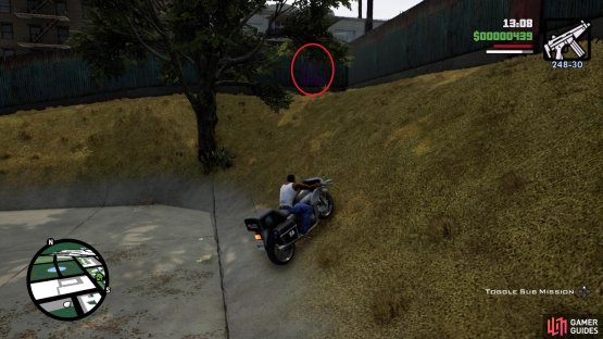 Tag #38 in the game