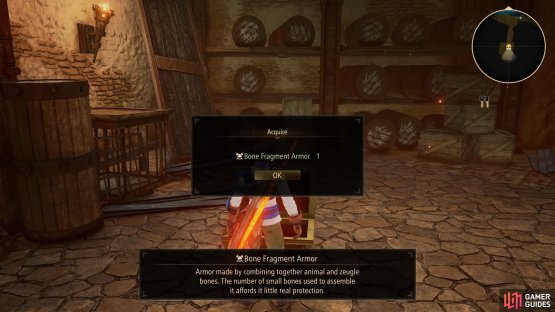 You’ll find some new armor for Iron Mask in the southern room