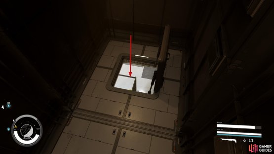 Drop onto the pipes, and through the vent hole into the toilets.