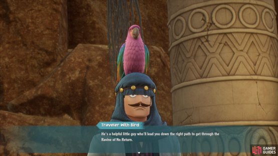 Getting a Navi Bird will help you get through the Ravine more easily