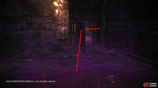 To the right of the Battle Flag, and ladder is a room you can go through. Follow it around and unlock the door with the cell key. The Marking Flag will be to the right of the flag.
